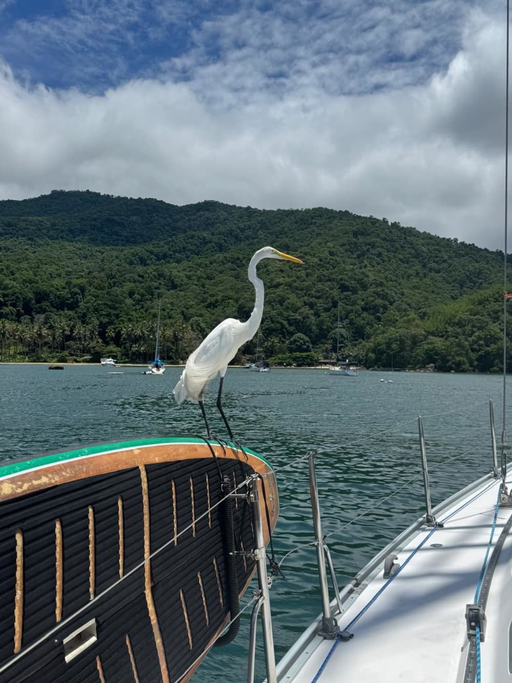Een magische dag in Ubatuba op een zeilboot.
