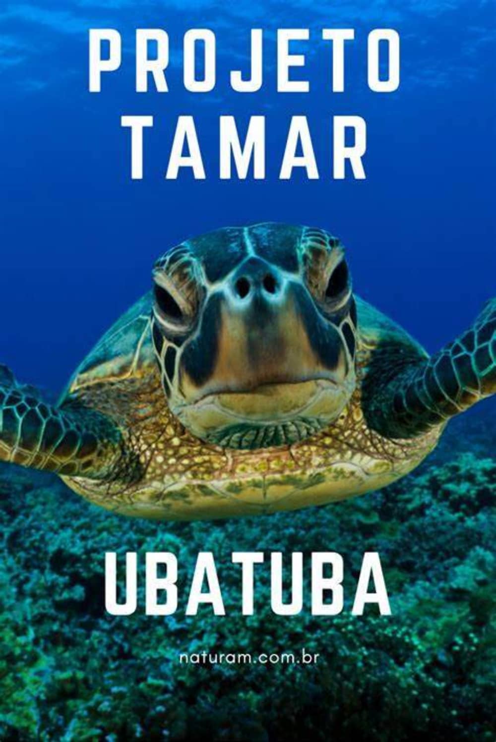 Een magische dag in Ubatuba op een zeilboot.