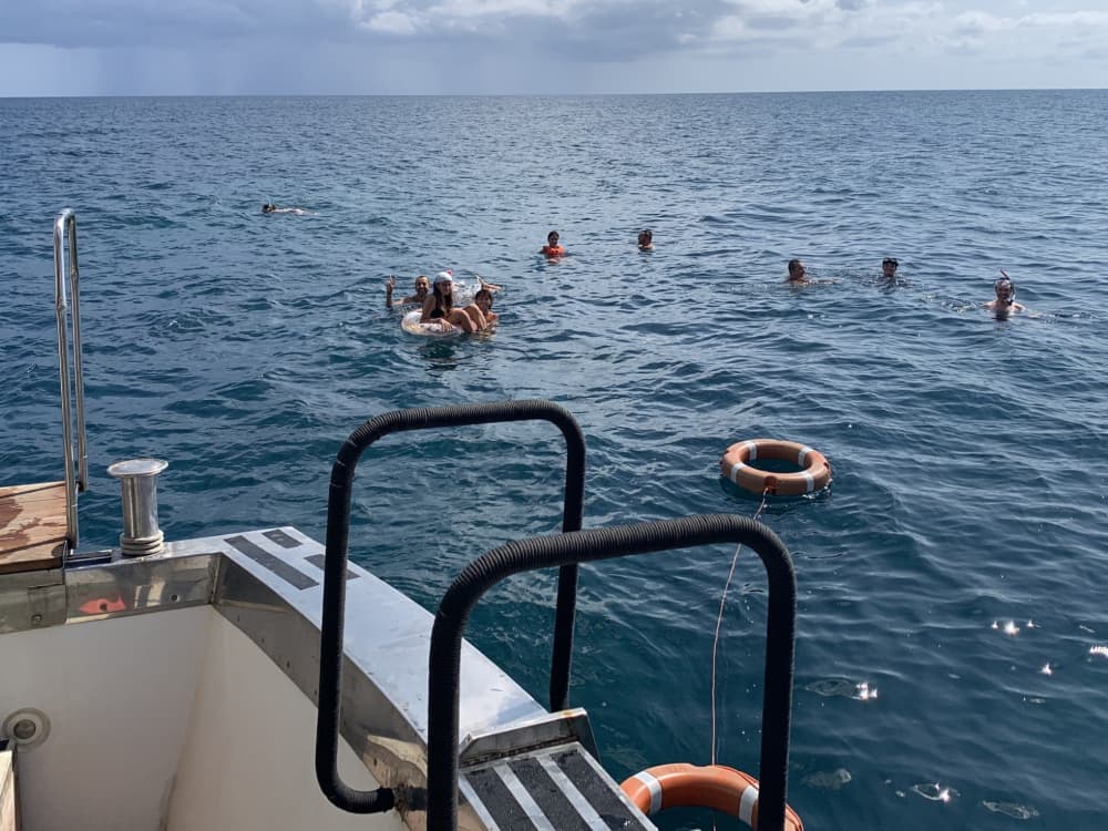 Desfrute de 9 horas em uma lancha para explorar Monopoli.