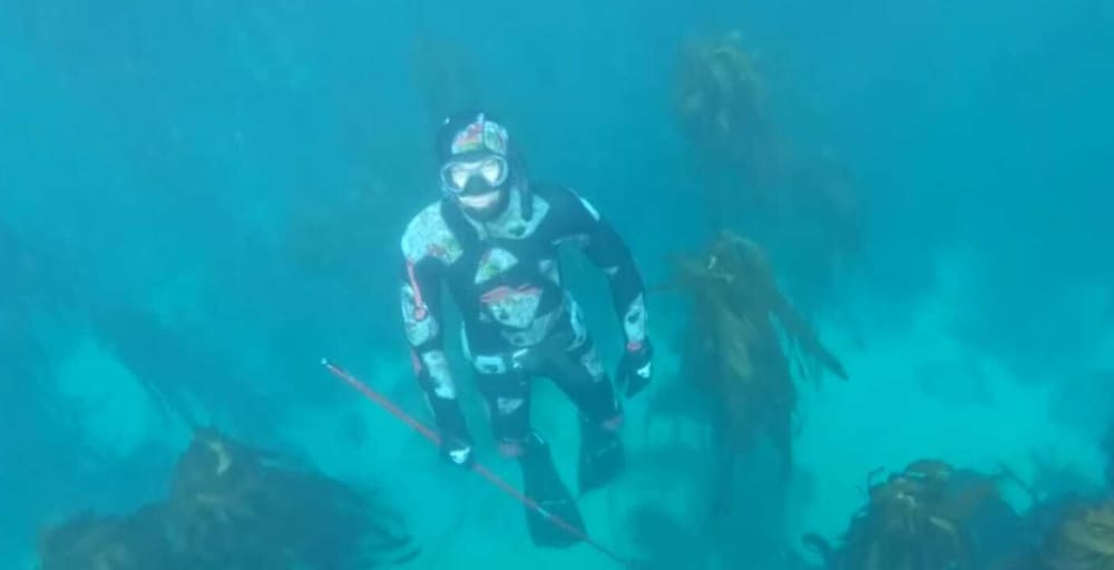 Ihr Tag in Simon's Town: Mieten Sie ein Motorboot für 9 Stunden voller Entdeckungen