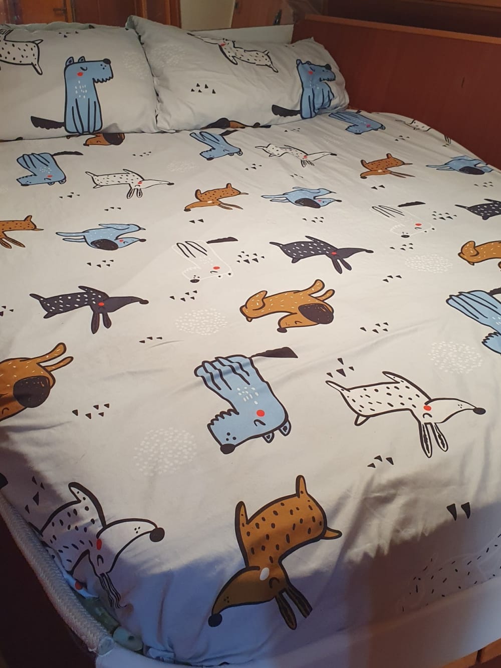 Njut av 7 timmar på en motorbåt för att utforska Angera