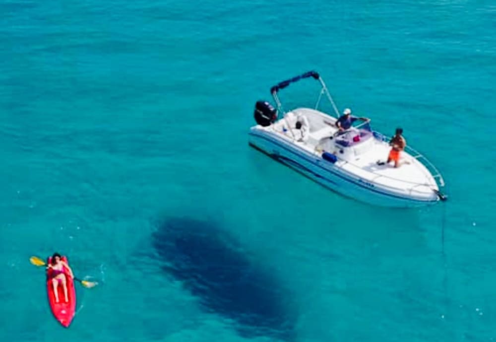 Island-Hopping Paradise: Daily Boat Tour from Olbia