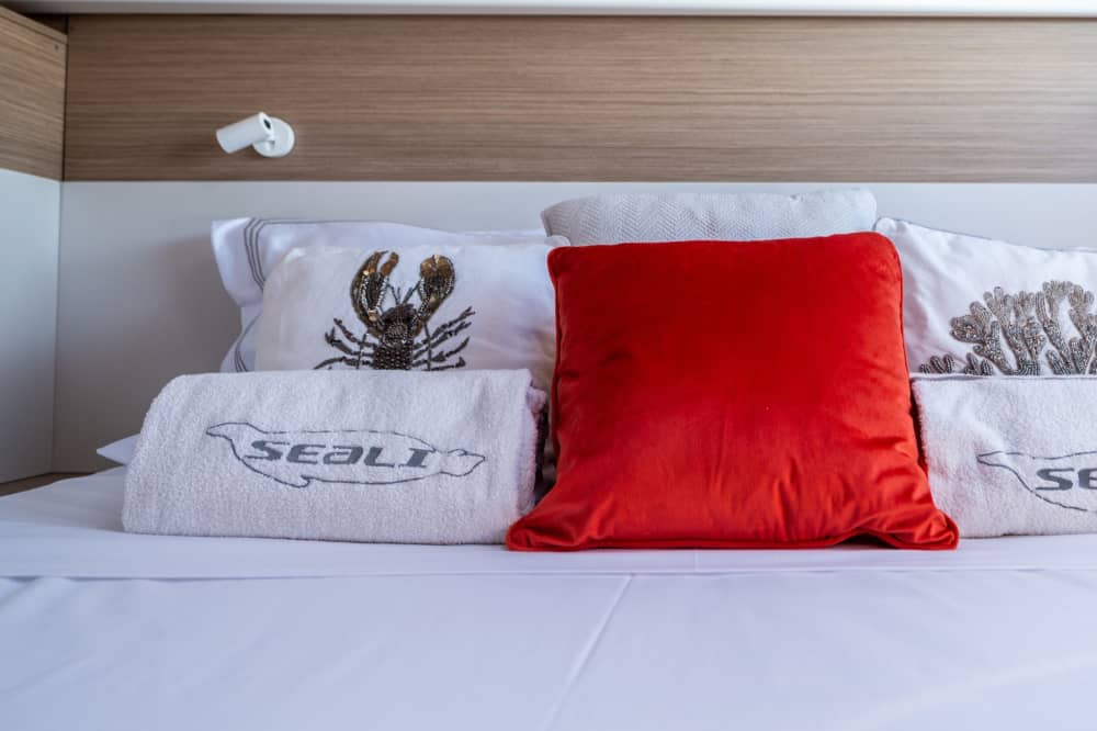 Halber Tag an Bord eines brandneuen Katamarans.