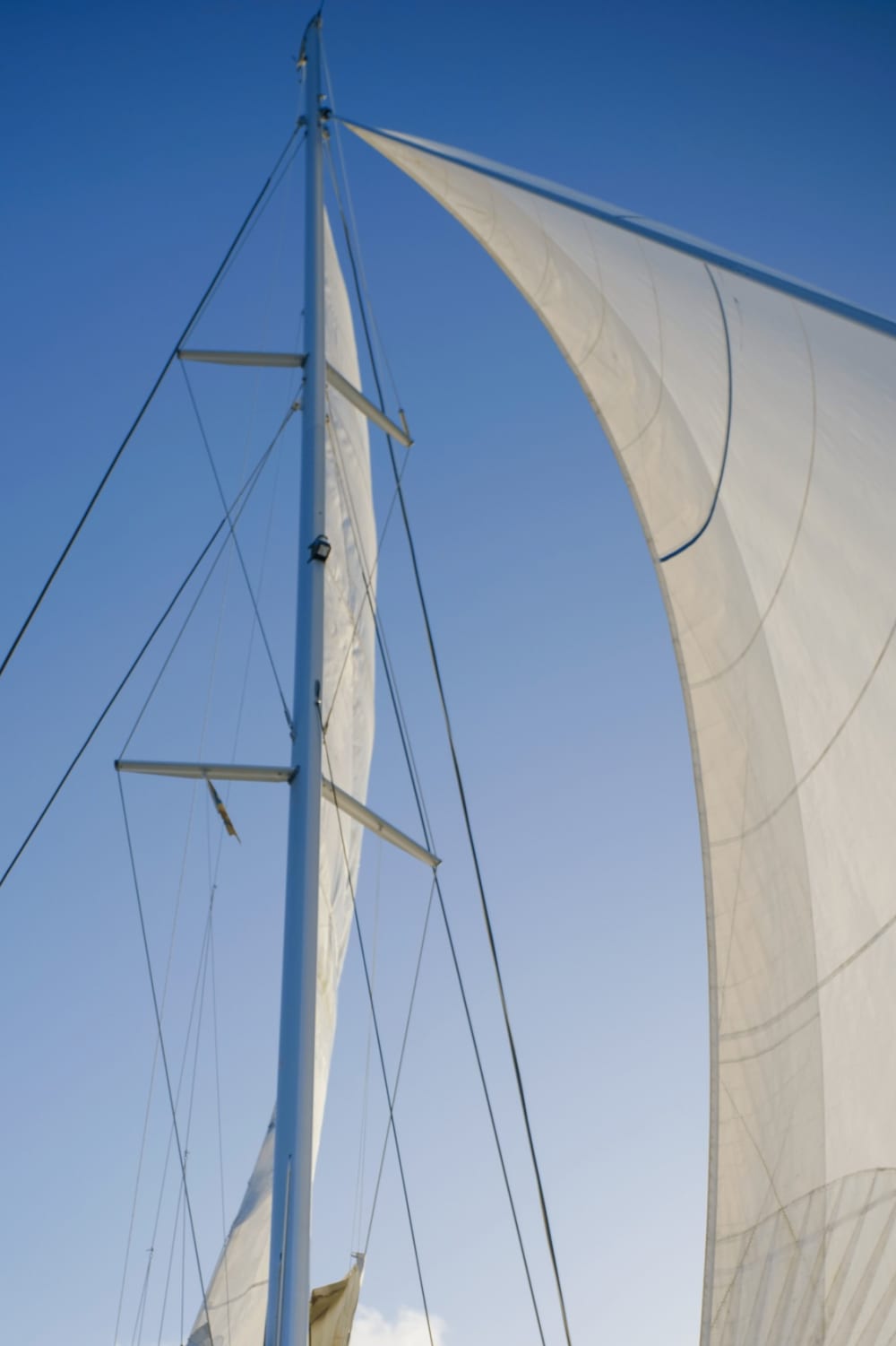 Set your course for joy: A full day of authentic sailing in Saint George's on a catamaran