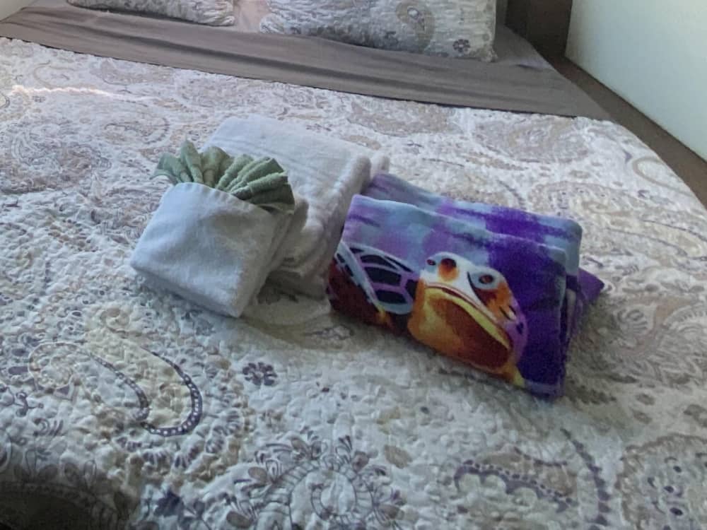 Set your course for joy: A full day of authentic sailing in Saint George's on a catamaran