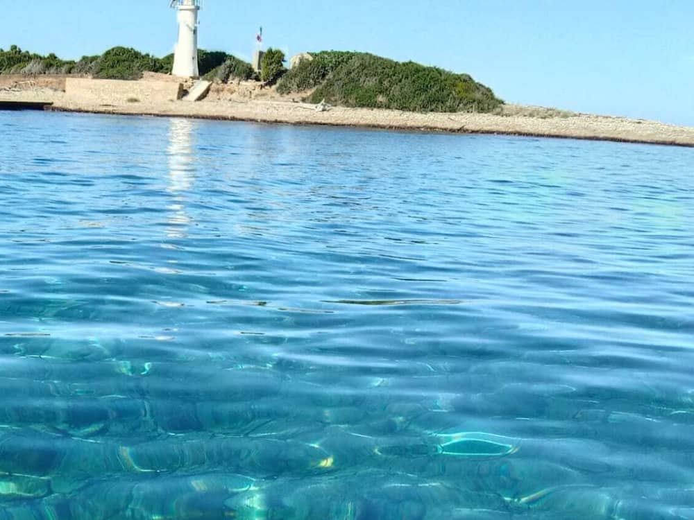 Scopri le coste di Castellabate: un'escursione di un'intera giornata a bordo di un motoscafo.