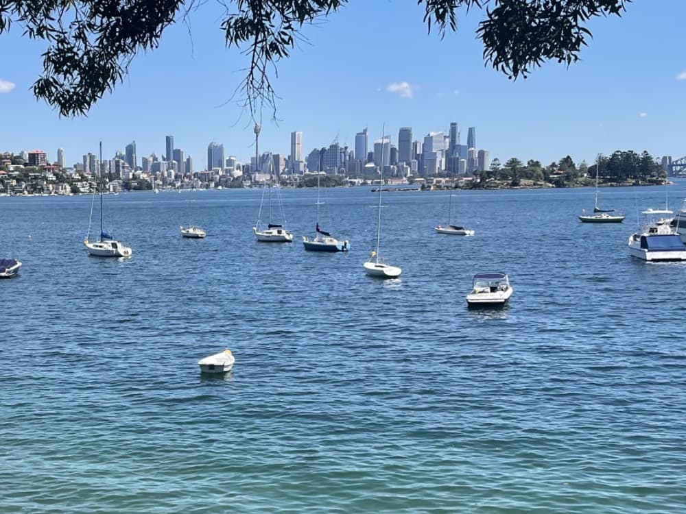 Onvergetelijke herinneringen op zee: breng 9 uur door met het verkennen van Sydney.
