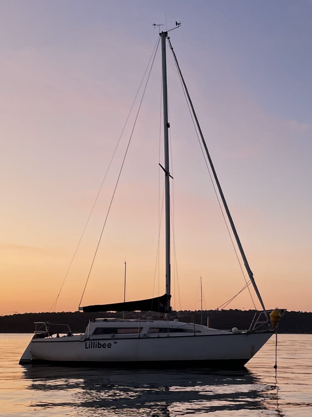 Unvergessliche Erlebnisse auf See: Verbringen Sie 9 Stunden damit, Sydney zu erkunden.