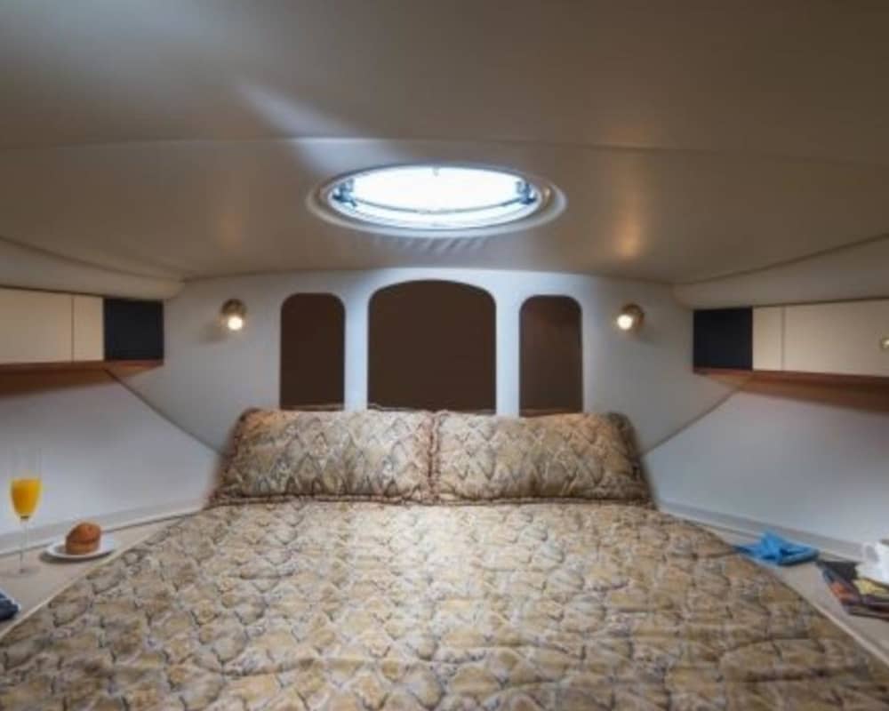 Take a half-day to relax on a motorboat in La Romana