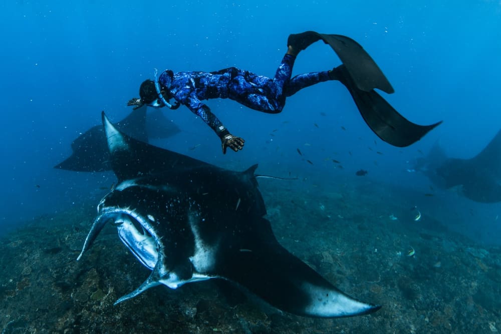 Votre journée à Bali : Louez un bateau à moteur pour une journée complète de découverte