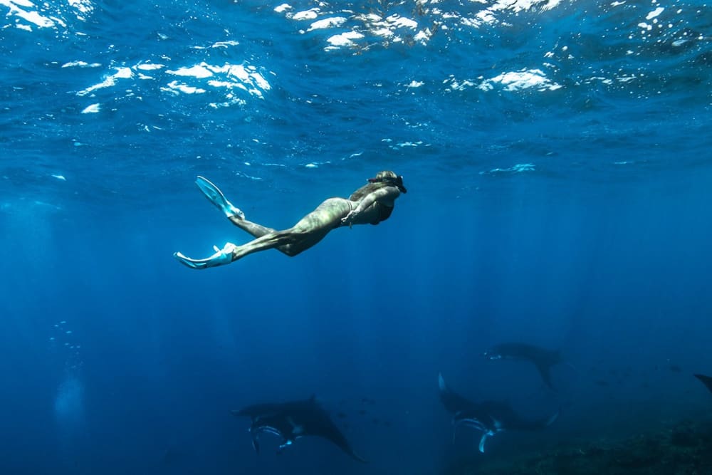 Votre journée à Bali : Louez un bateau à moteur pour une journée complète de découverte