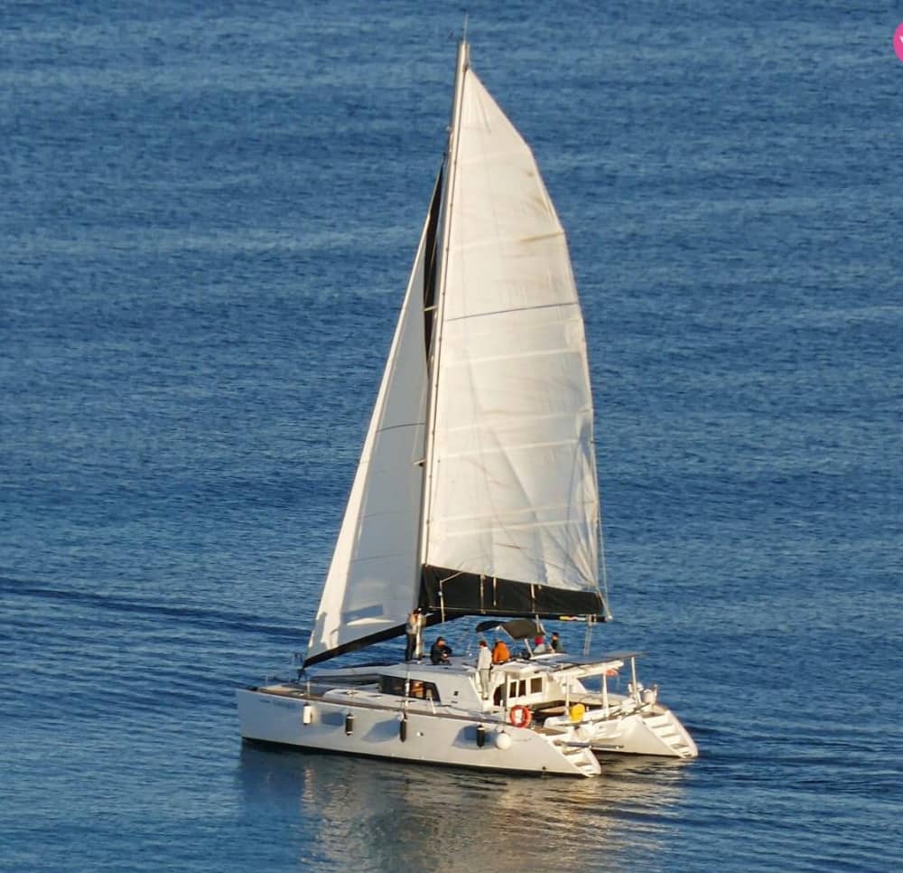 Experiencia en catamarán en Ibiza y Formentera: una escapada costera de 8 horas.