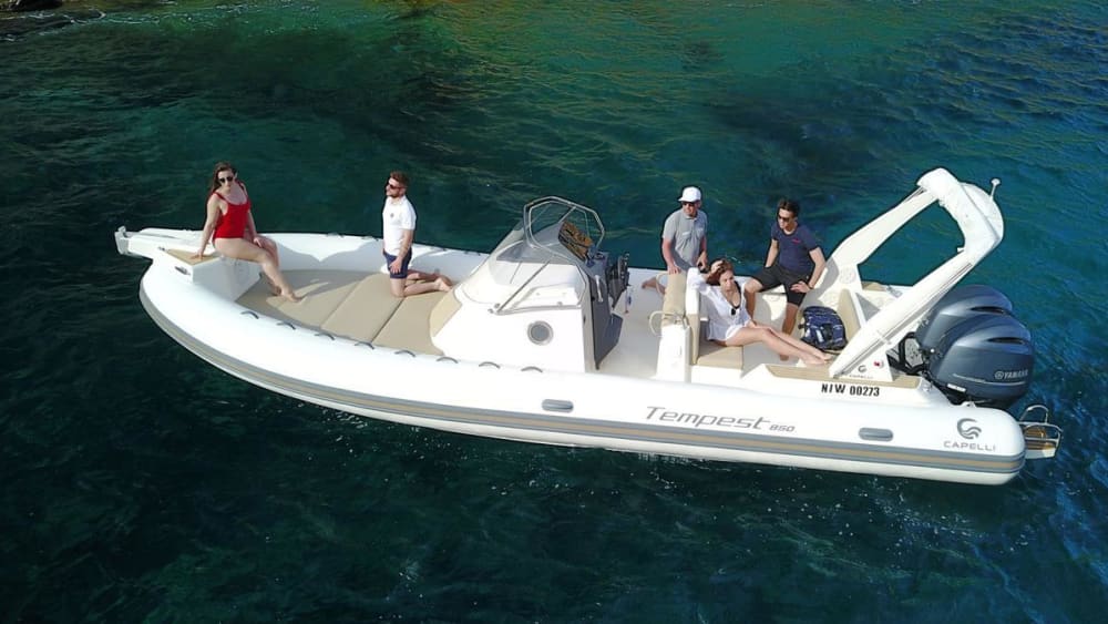 Découvrez Cap-d'Ail lors d'une excursion d'une journée en bateau à moteur.