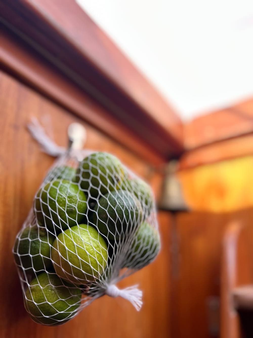 Recuerdos inolvidables en el mar: Pasa 9 horas explorando Buenos Aires.