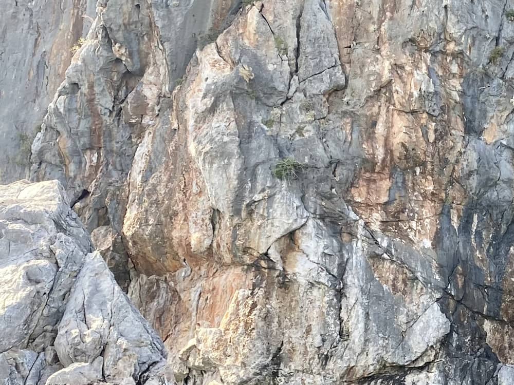 Un día en el mar: De Kemer a las joyas ocultas de la costa turca (Olimpos - Porto Ceneviz - Cleopatra)