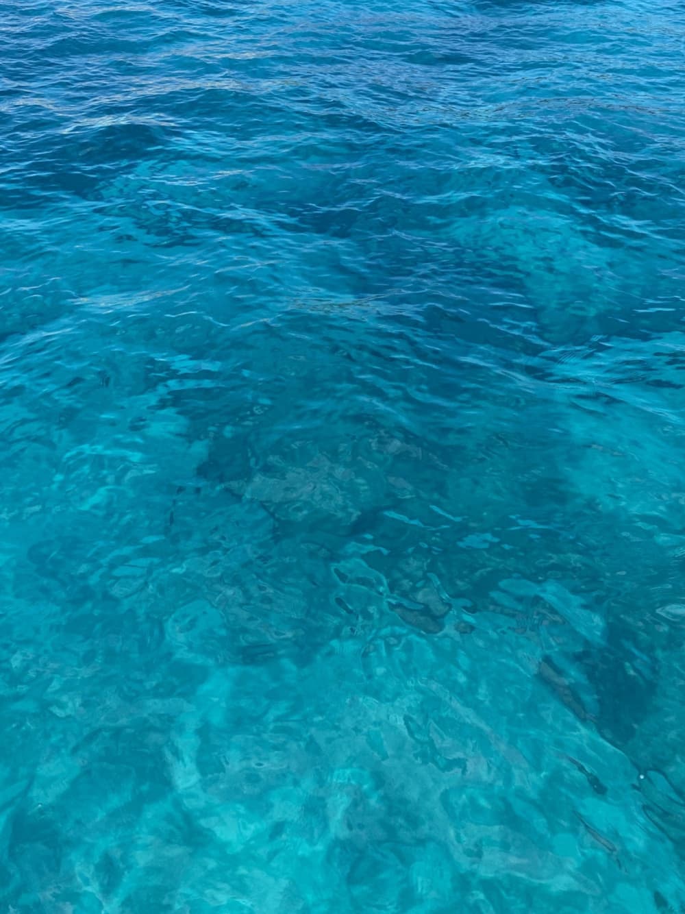 Disfruta de un día completo de navegación en Playa Blanca a bordo de un velero.