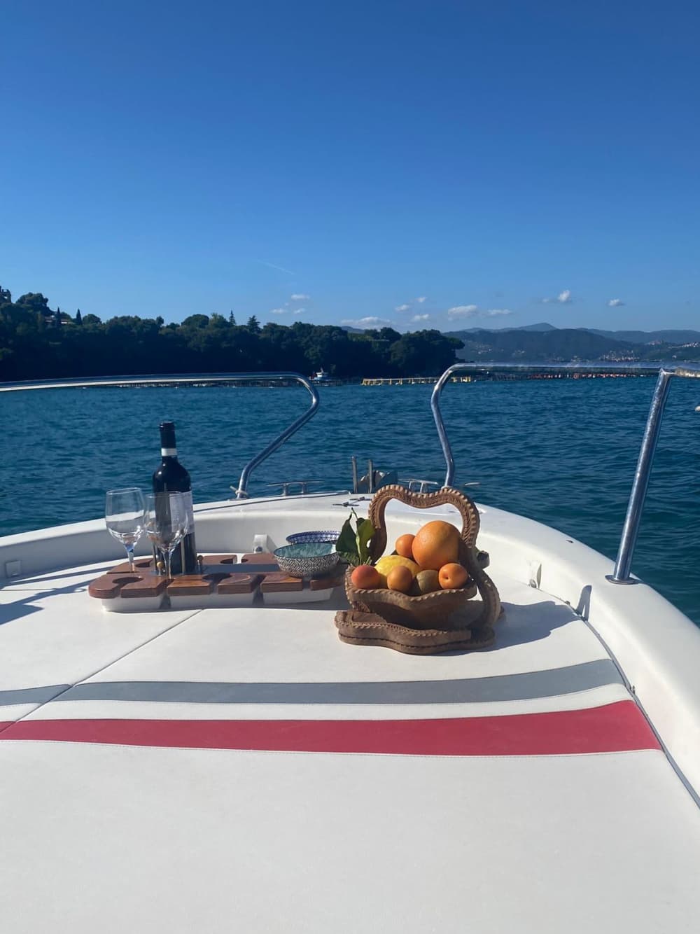 Escapada a La Spezia: 4 horas de relax en lancha motora.