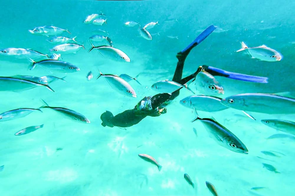 Punta Cana: Party Boat with Snorkeling, Booze And Hip Hop