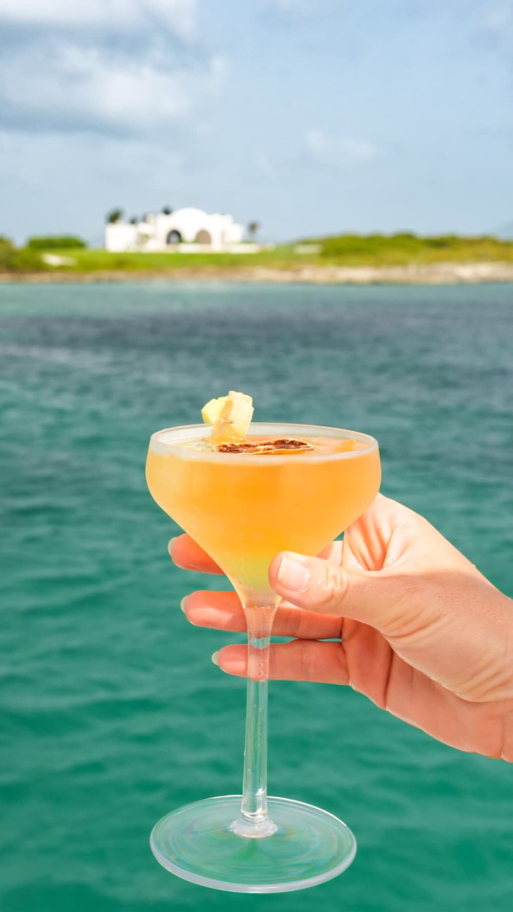 Spend a 9h sailing around Marigot on a sailboat