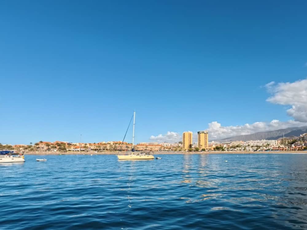 Морская прогулка по югу Тенерифе (3 часа)