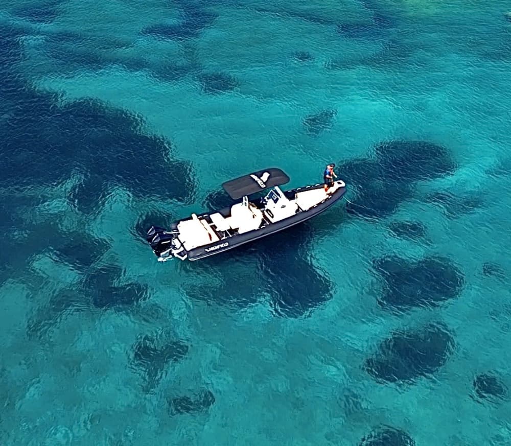Private boat trip around Cannigione on a motorboat