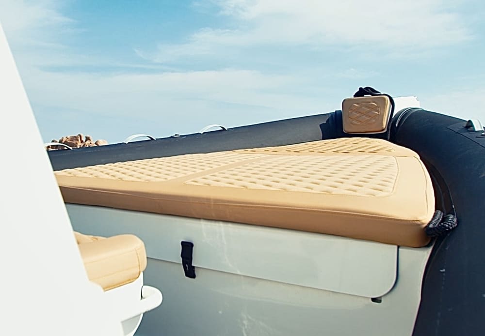 Private boat trip around Cannigione on a motorboat