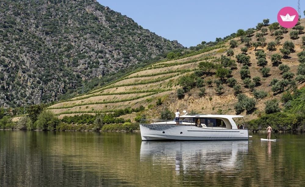 Kreuzfahrt auf dem Douro: 2 Stunden Magie im Douro-Tal und seinen Weinbergen