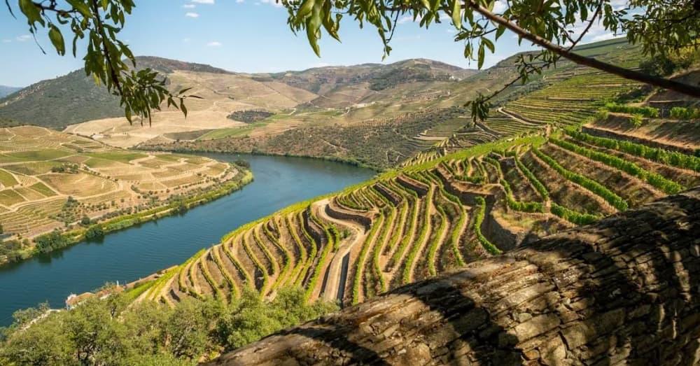 Descubrimiento de 3 horas del valle del Duero: un paraíso natural y tranquilo