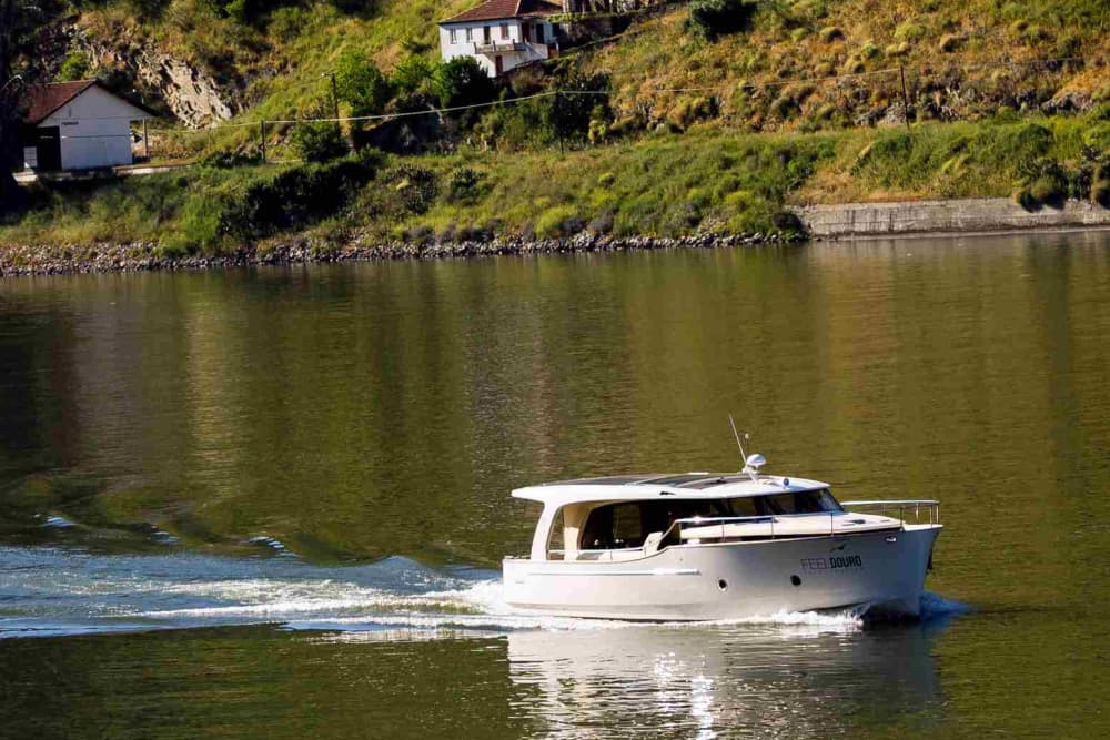 3-stündige Entdeckungstour durch das Douro-Tal: Ein ruhiges Naturwunderland