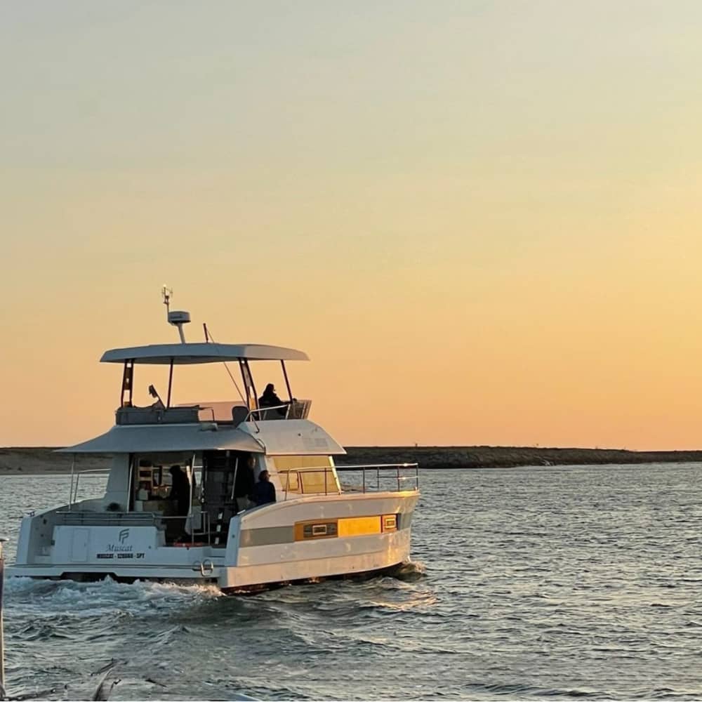 Rumbo al estuario del Duero: crucero de 2 horas al atardecer