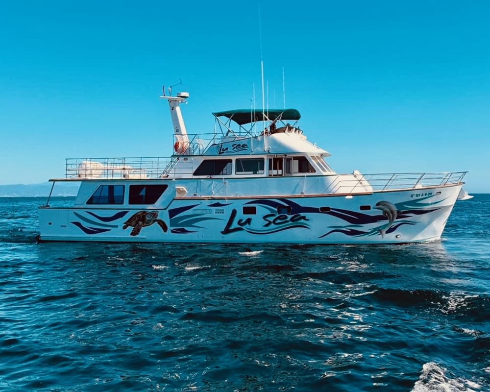 Bootstour mit XXL-Rutschen, Schnorcheln, Aktivitäten und Mittagessen.