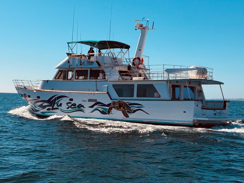 Bootstour mit XXL-Rutschen, Schnorcheln, Aktivitäten und Mittagessen.