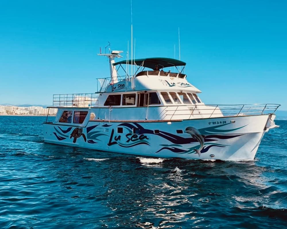 Bootstour mit XXL-Rutschen, Schnorcheln, Aktivitäten und Mittagessen.