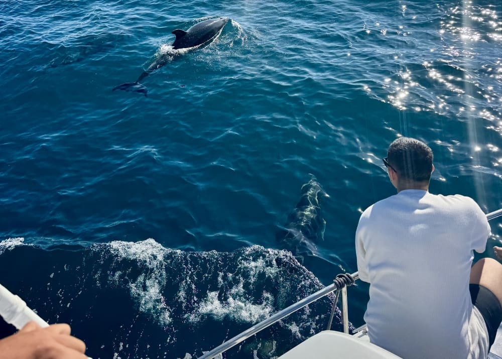 Bootstour mit XXL-Rutschen, Schnorcheln, Aktivitäten und Mittagessen.