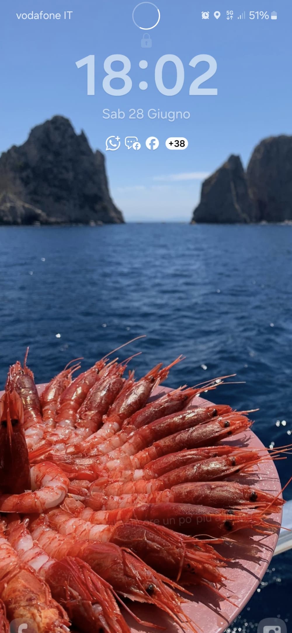 Festa in barca su uno yacht di lusso tra Capri e Positano per un massimo di 40 persone.