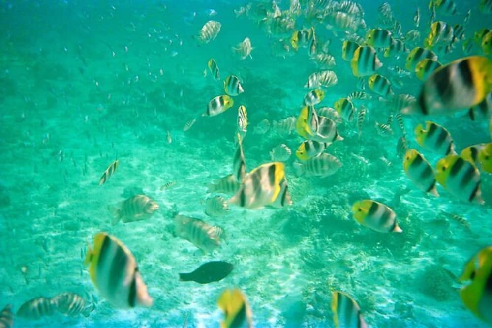 Ganztägige „Erkundung & Sonnenuntergang“