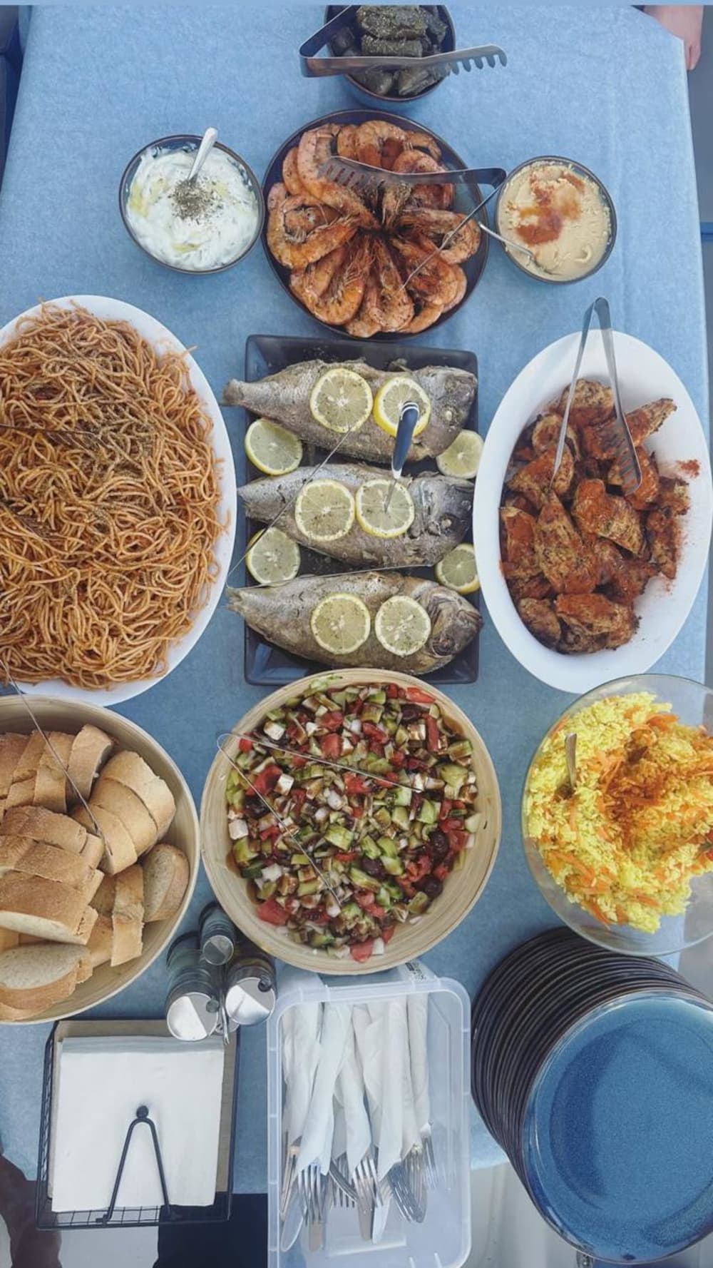 Heldags privat kryssning (10 timmar)