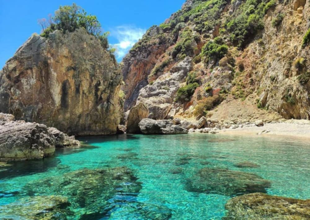 Recorrido en lancha rápida de 4 horas