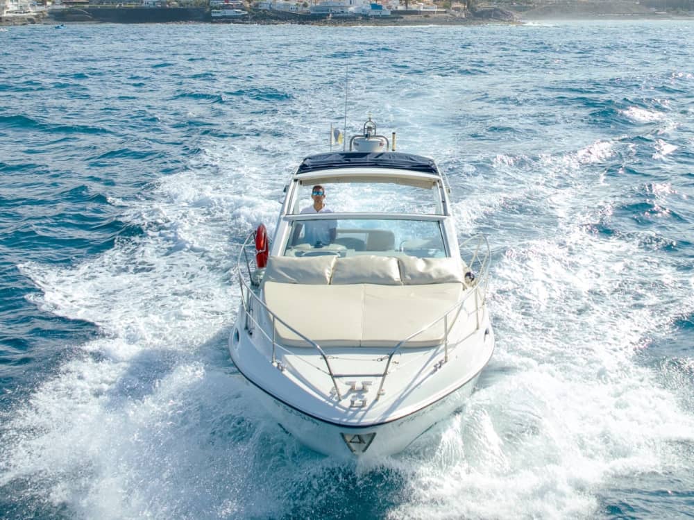 Escapade facile à Costa Adeje : une excursion en bateau à moteur de 3 h