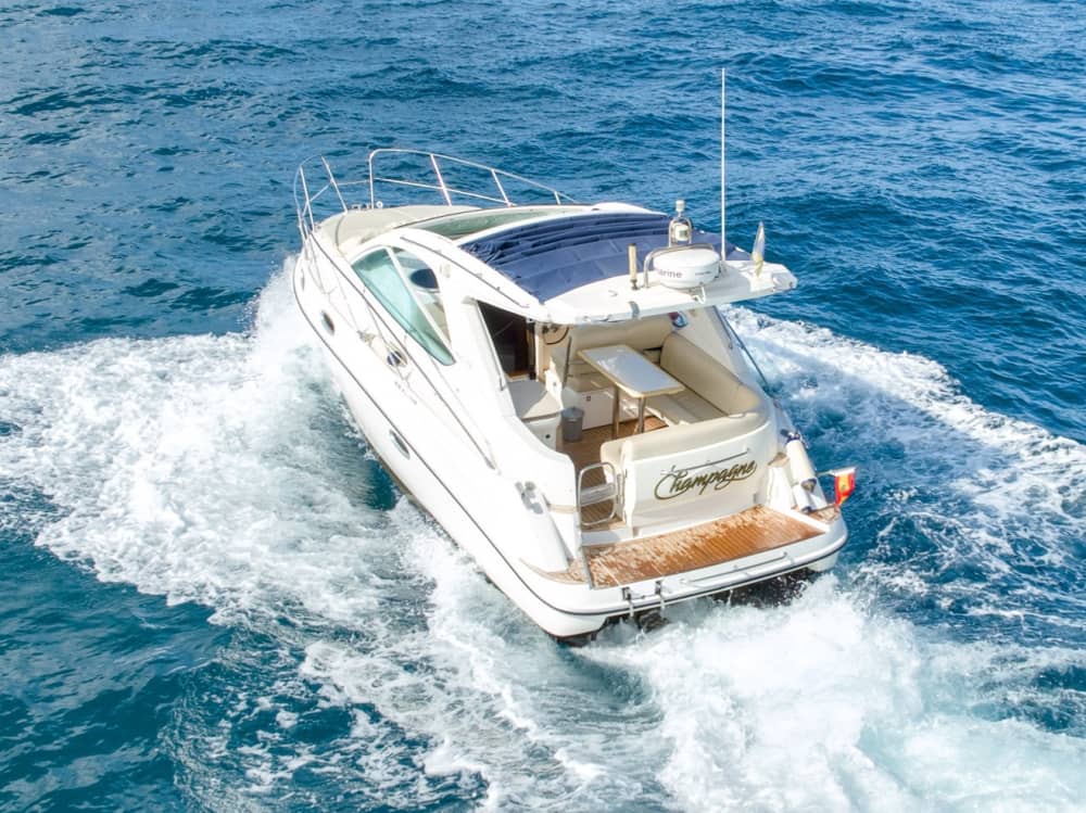 Escapade facile à Costa Adeje : une excursion en bateau à moteur de 3 h