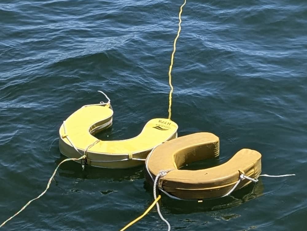 Crociera romantica di 2 ore dal molo di Alcantara