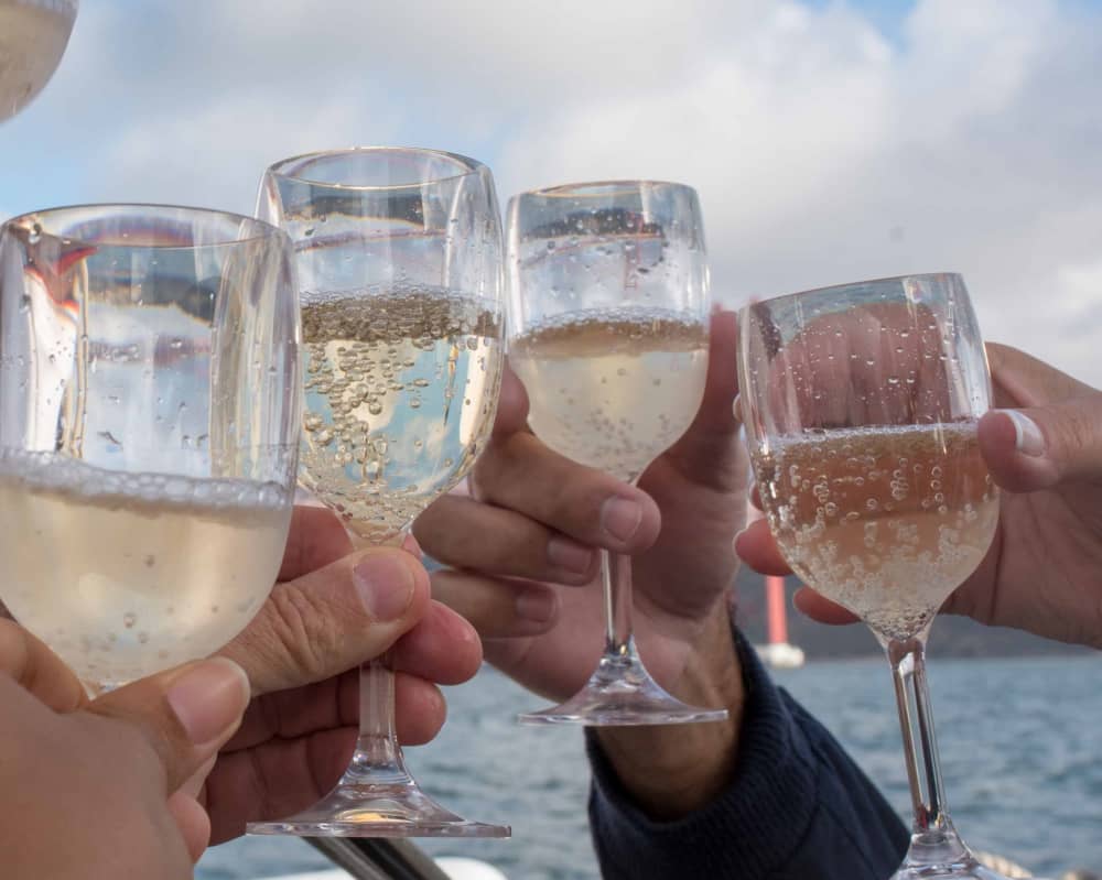 4-Hour Lisbon Family Cruise with Swim & Snacks