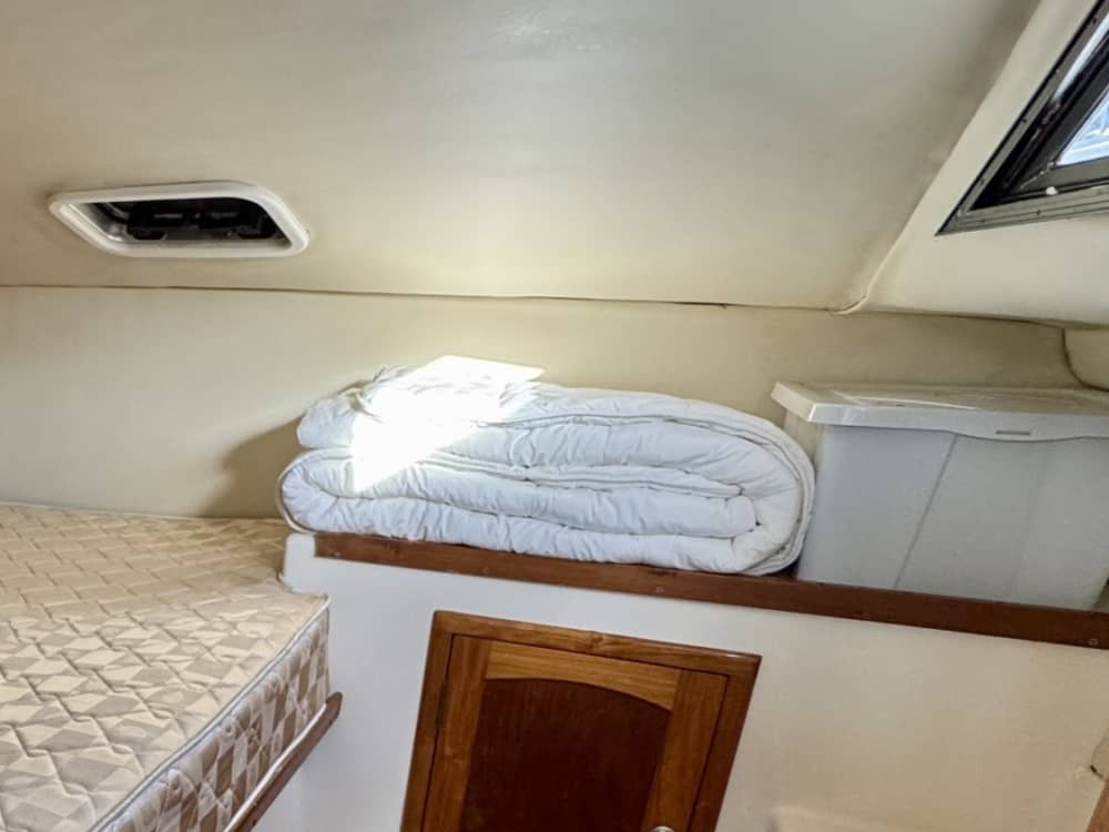 Découvrez Nouméa lors d'une excursion d'une demi-journée en bateau à moteur