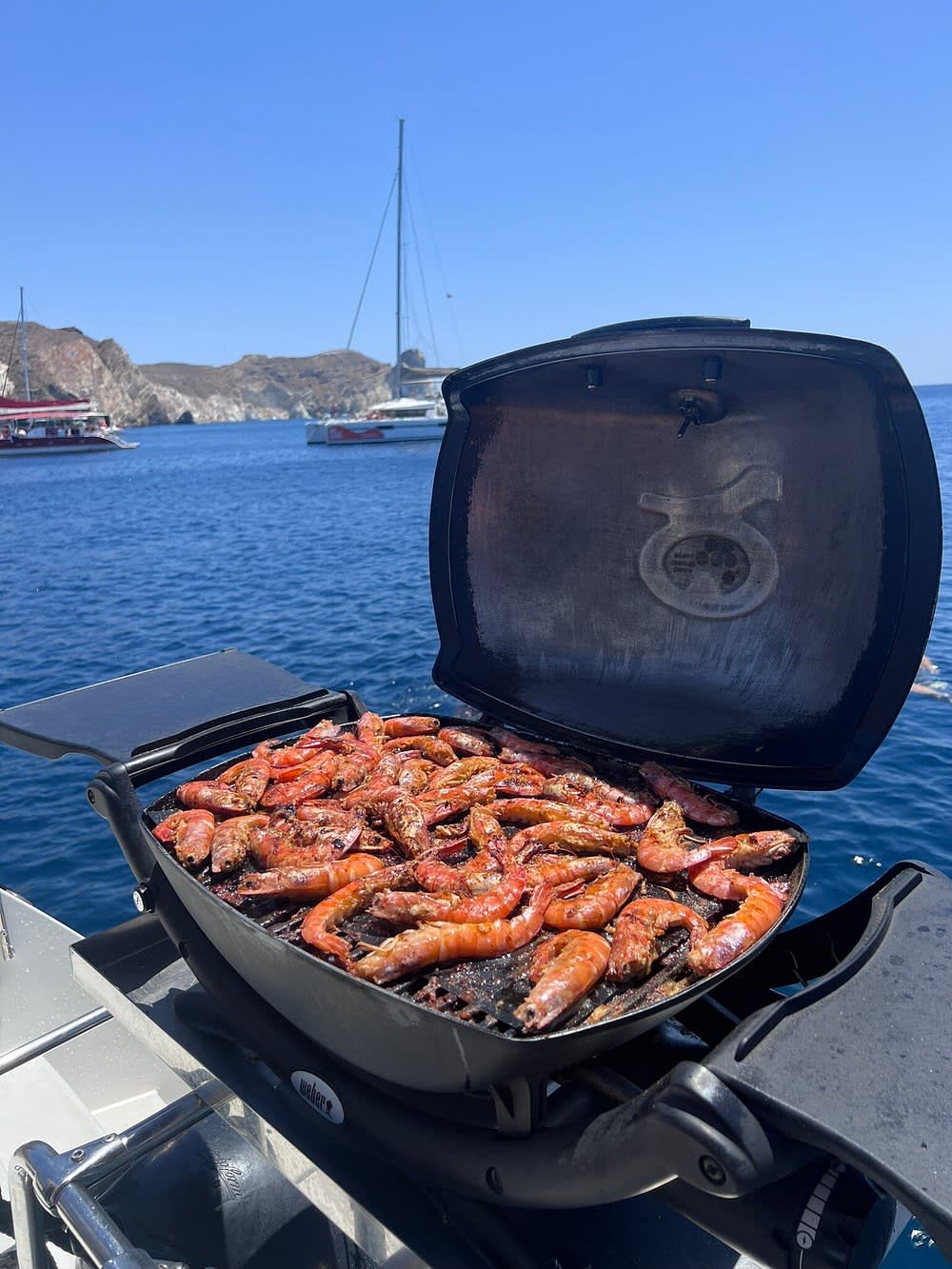 Privé catamarancruise overdag met barbecue, drankjes en vervoer