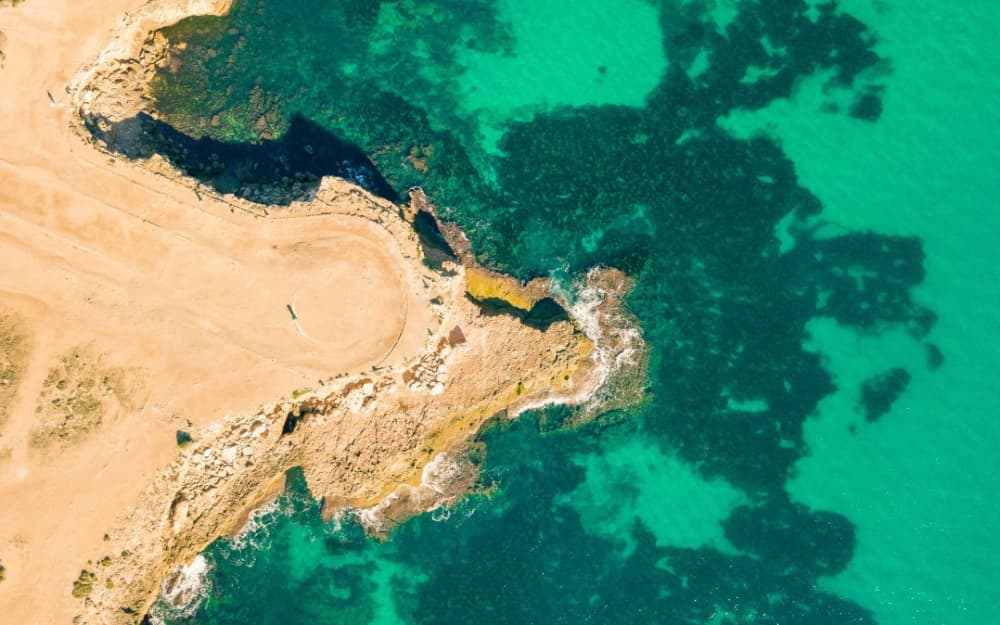 Escape de lo ordinario: un viaje marítimo de medio día comienza aquí