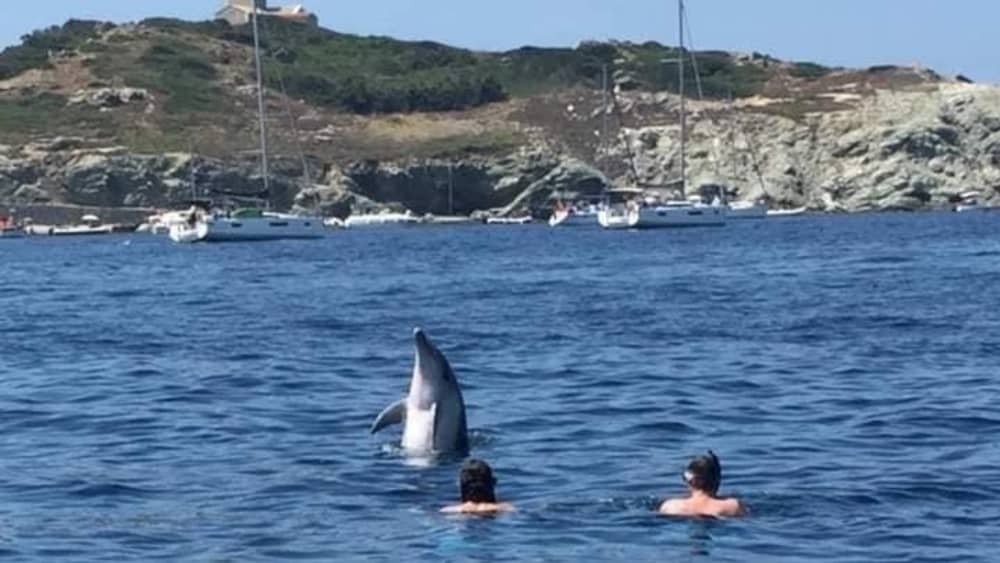 Profitez d'une journée complète sur un voilier à Bandol