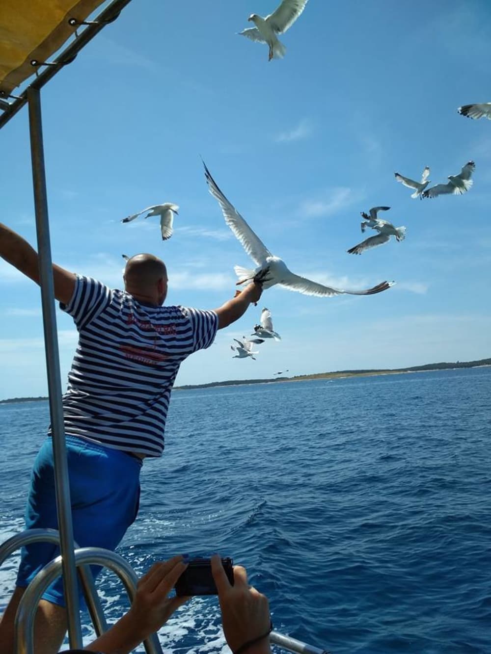 Scopri Medulin a bordo di un motoscafo per 6 ore