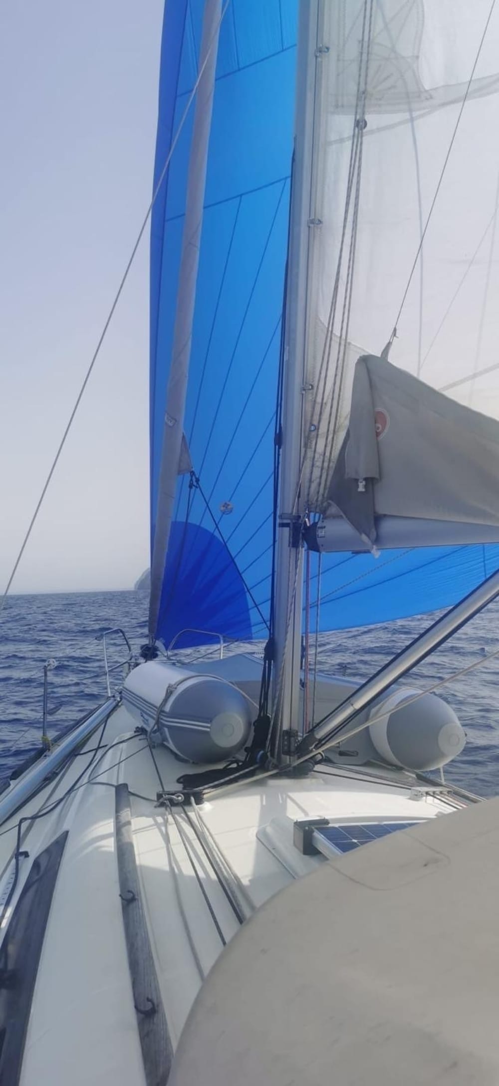 Pasa 8 horas en las cálidas aguas de Alicante.