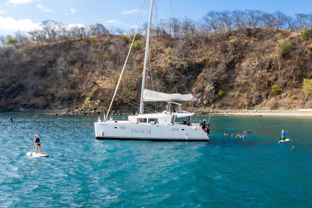 Your Private Pacific Awakening: Luxury Morning Catamaran & Gourmet Bites