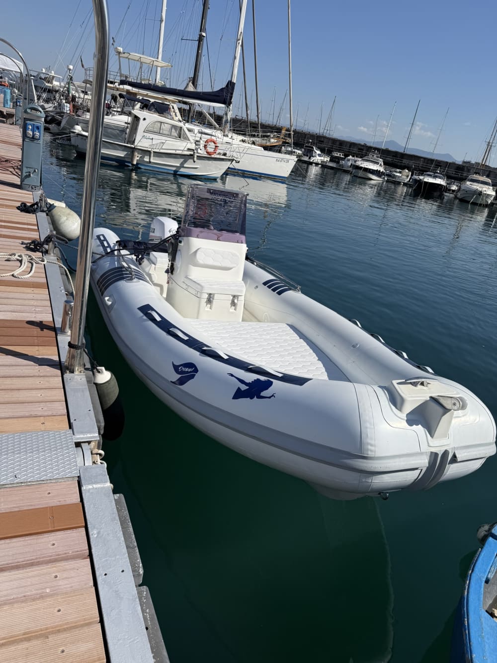 Scopri Sorrento a bordo di un motoscafo per 8 ore.